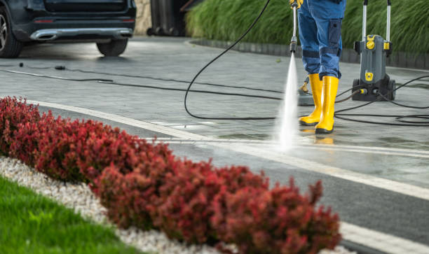 Best House Exterior Washing  in Brooklyn Park, MN