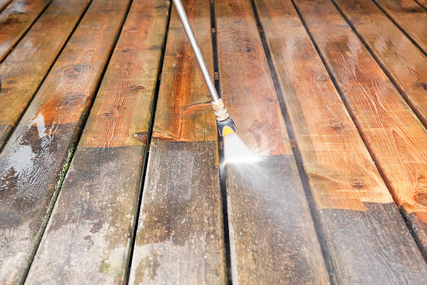 Best Spring Cleaning  in Brooklyn Park, MN